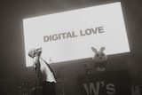 「WurtS CONCERT HALL TOUR II -DIGITAL LOVE-」の様子。（撮影：小杉歩）