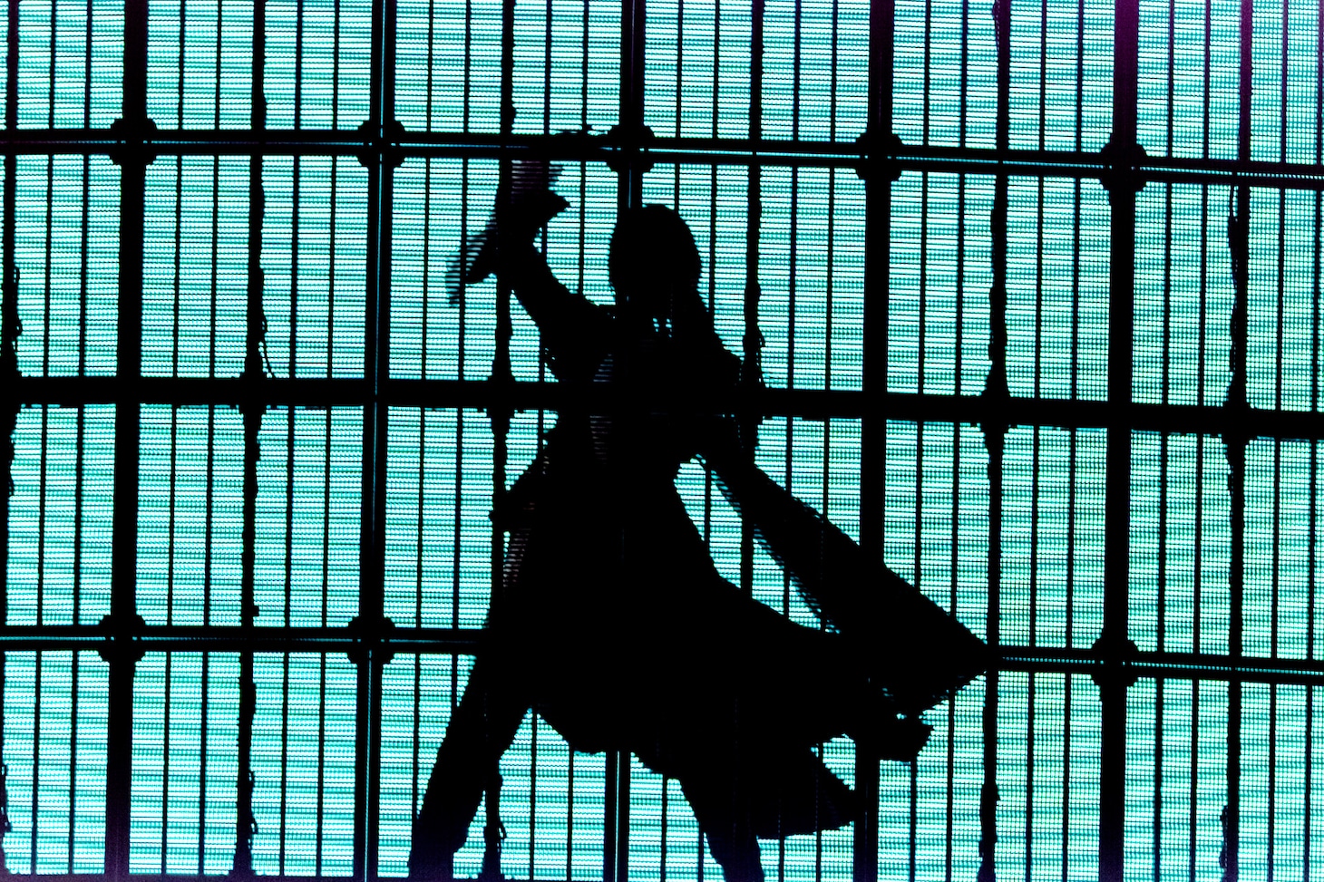 Ado（Photo by Viola Kam［V'z Twinkle］）