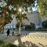 Yog*「Ringing」配信ジャケット