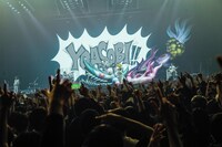 「RADWIMPS 20th ANNIVERSARY LIVE TOUR」よりYOASOBIのライブの様子。（Photo by Risa Nishimura）