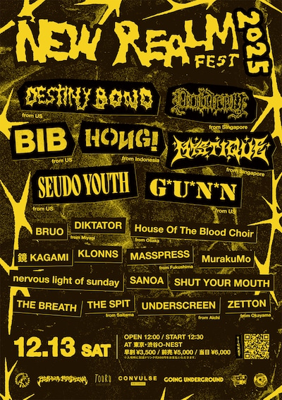 「NEW REALM FEST 2025」フライヤー