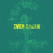 TOOBOEメジャー2ndアルバム「EVER GREEN」リリース、4都市ワンマンツアー決定