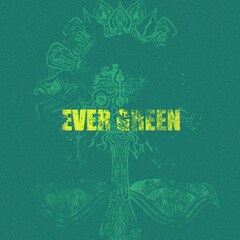TOOBOEメジャー2ndアルバム「EVER GREEN」リリース、4都市ワンマンツアー決定