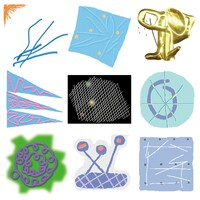 蓮沼執太「蓮沼執太のBGM by Shuta Hasunuma」ジャケット