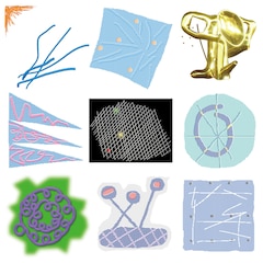 蓮沼執太、代官山蔦屋書店のBGMをCD化　フリーライブ「都市と合奏」のフル尺映像公開