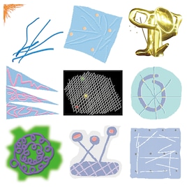 蓮沼執太、代官山蔦屋書店のBGMをCD化　フリーライブ「都市と合奏」のフル尺映像公開