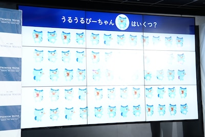菊池風磨（timelesz）に出題された10秒で「うるうるぴーちゃん」が何匹いるか当てるクイズ。
