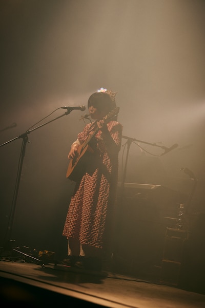 古山菜の花（撮影：岩本彩）