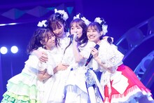 TEAM SHACHI（撮影：笹森健一）