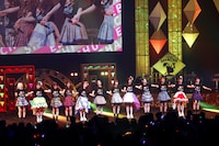 手をつなぐえびシャチ。（撮影：笹森健一）