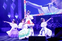 TEAM SHACHI（撮影：笹森健一）