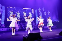 TEAM SHACHI（撮影：笹森健一）