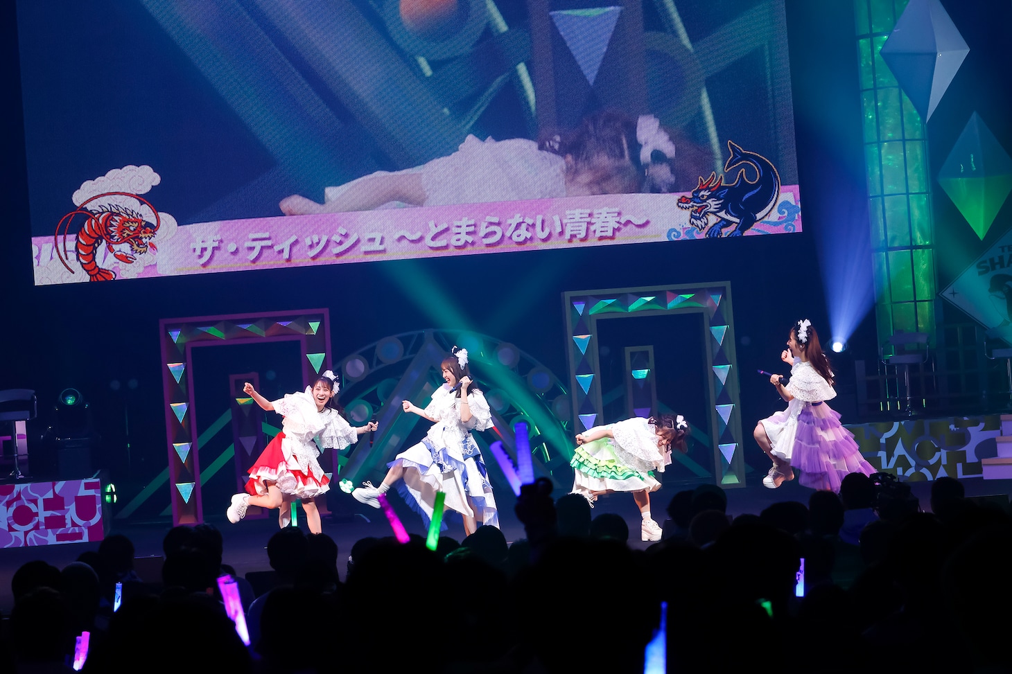 TEAM SHACHI（撮影：笹森健一）