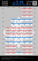 「PULSE DOME」実施スケジュール