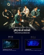 マカロニえんぴつ「静かな海」「恋人ごっこ」ライブ映像告知画像