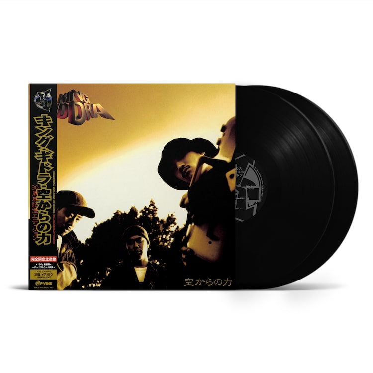 キングギドラ「空からの力：30周年記念エディション」アナログジャケット