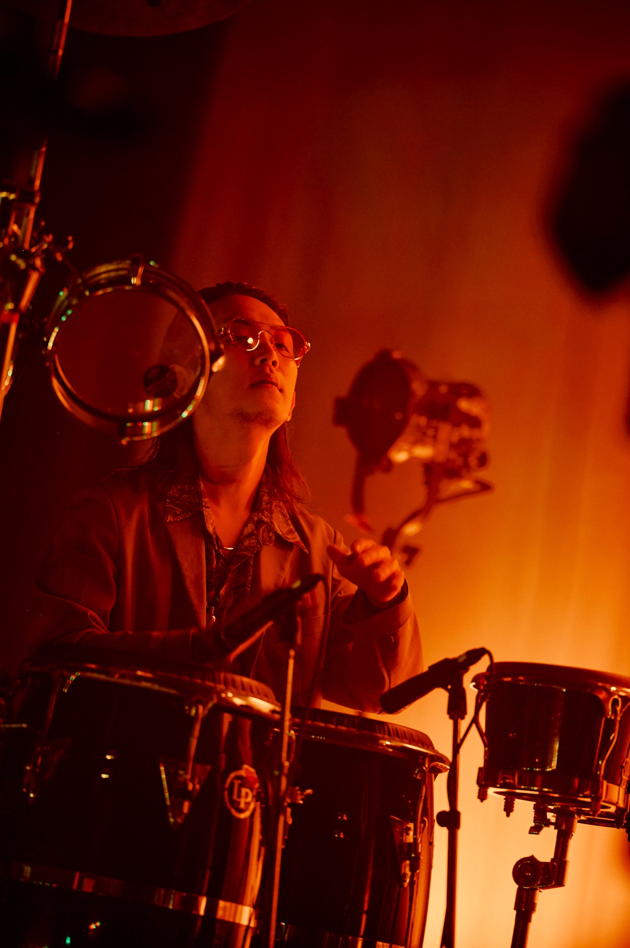 シマダボーイ（Perc）（Photo by morookamanabu）