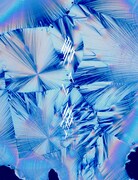 DUSTCELL「碧い海」初回生産限定盤ジャケット