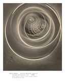 「岡田拓郎 / Takuro Okada New Album 『Konoma』Release Live」フライヤー