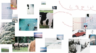 小財美香子 個展「しらない」キービジュアル