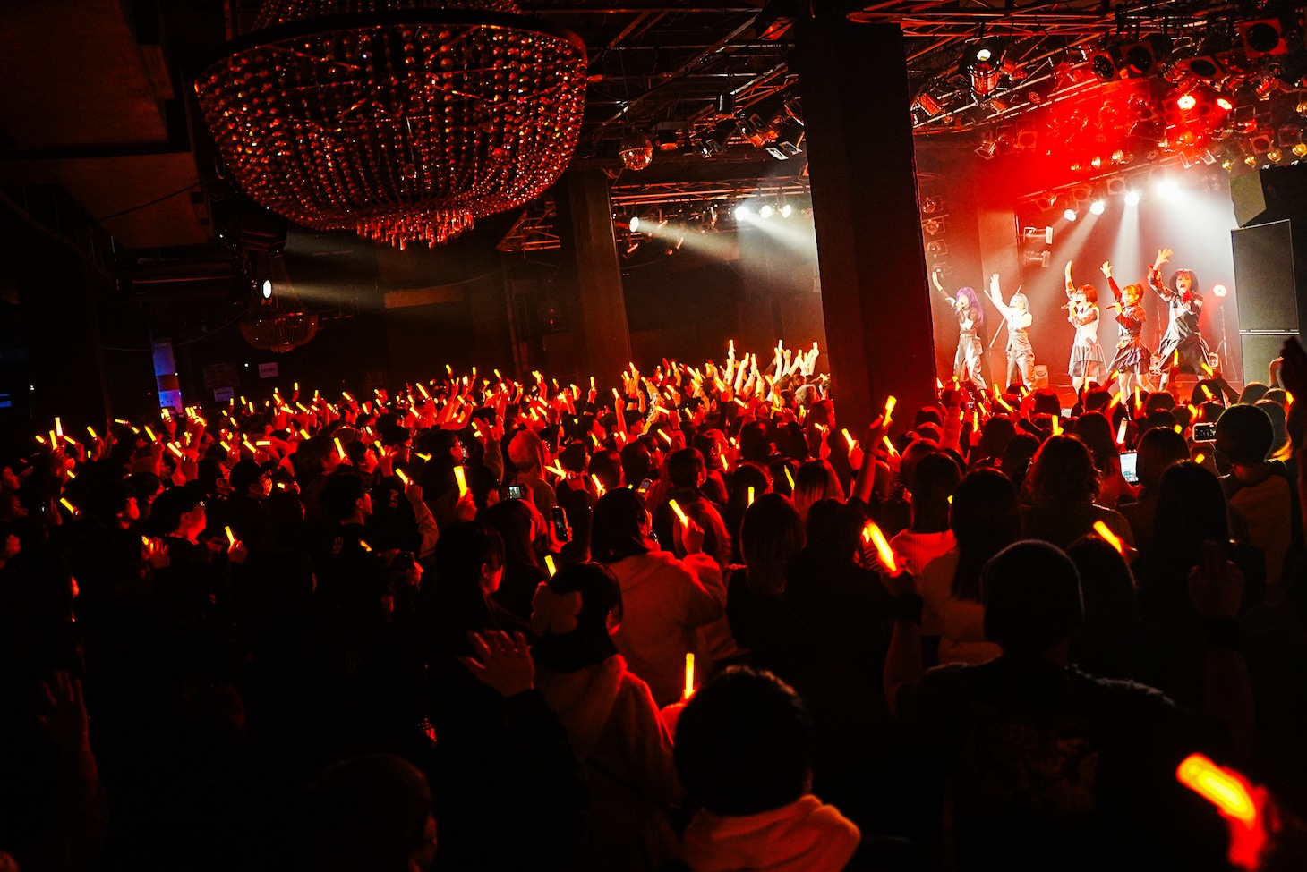 「ASP CRUSH TOUR」Yokohama Bay Hall公演のASP。