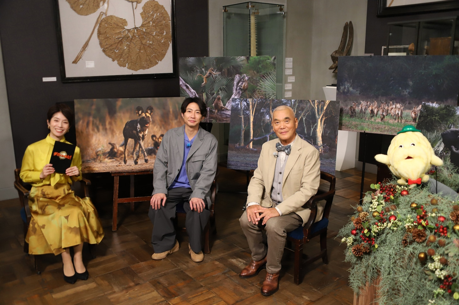 左から廣瀬智美、相葉雅紀、岩合光昭。「ダーウィンが来た！『奇跡！逆転！仰天！ “絶滅”からの復活劇スペシャル』」より。（写真提供：NHK）