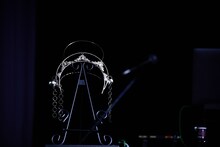 春ねむりがかぶっていた冠。（撮影：藍莉）