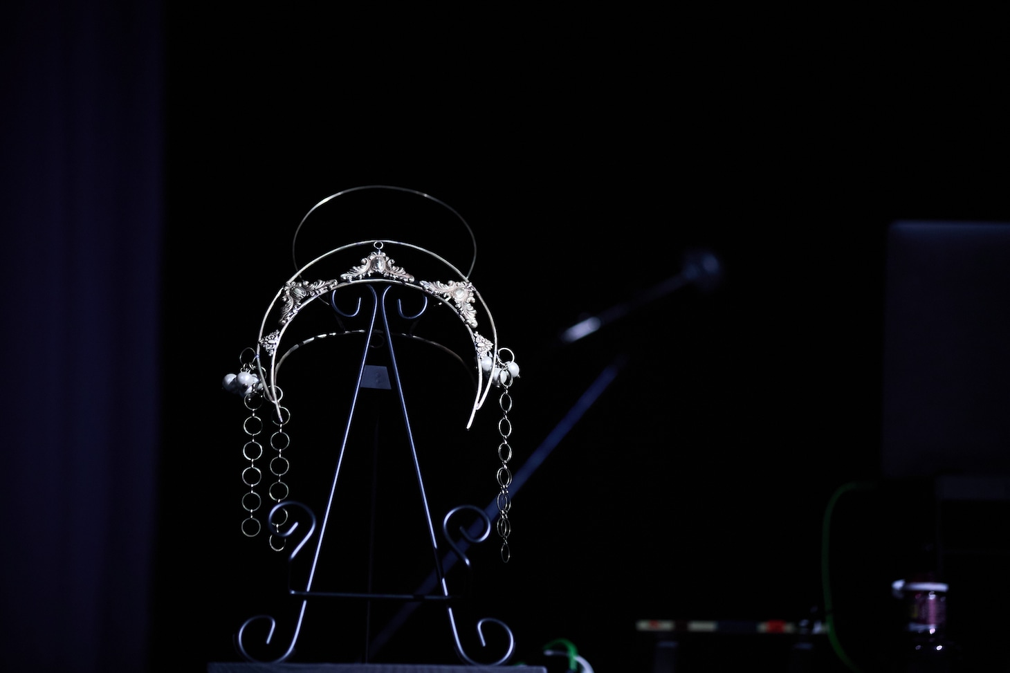 春ねむりがかぶっていた冠。（撮影：藍莉）