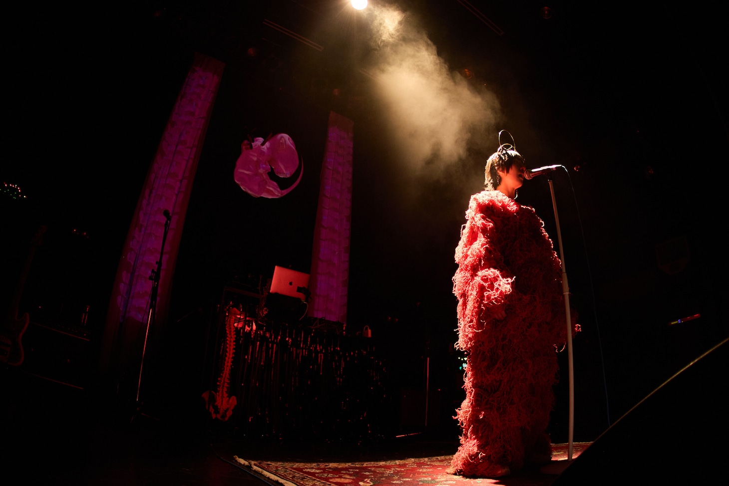 春ねむり（撮影：藍莉）