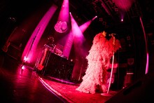 春ねむり（撮影：藍莉）