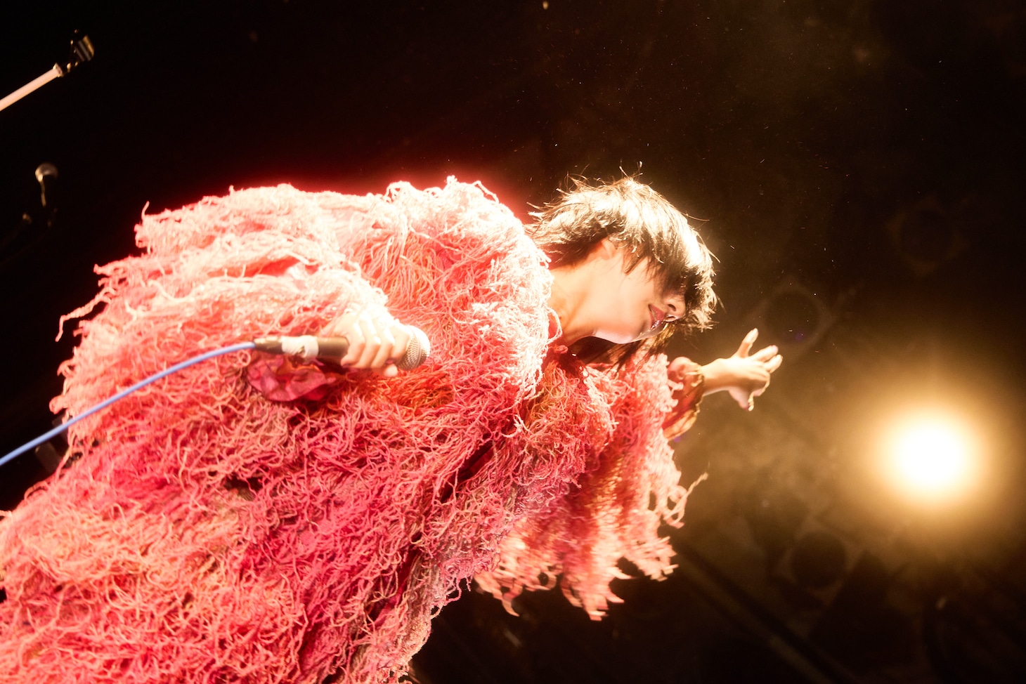 春ねむり（撮影：藍莉）