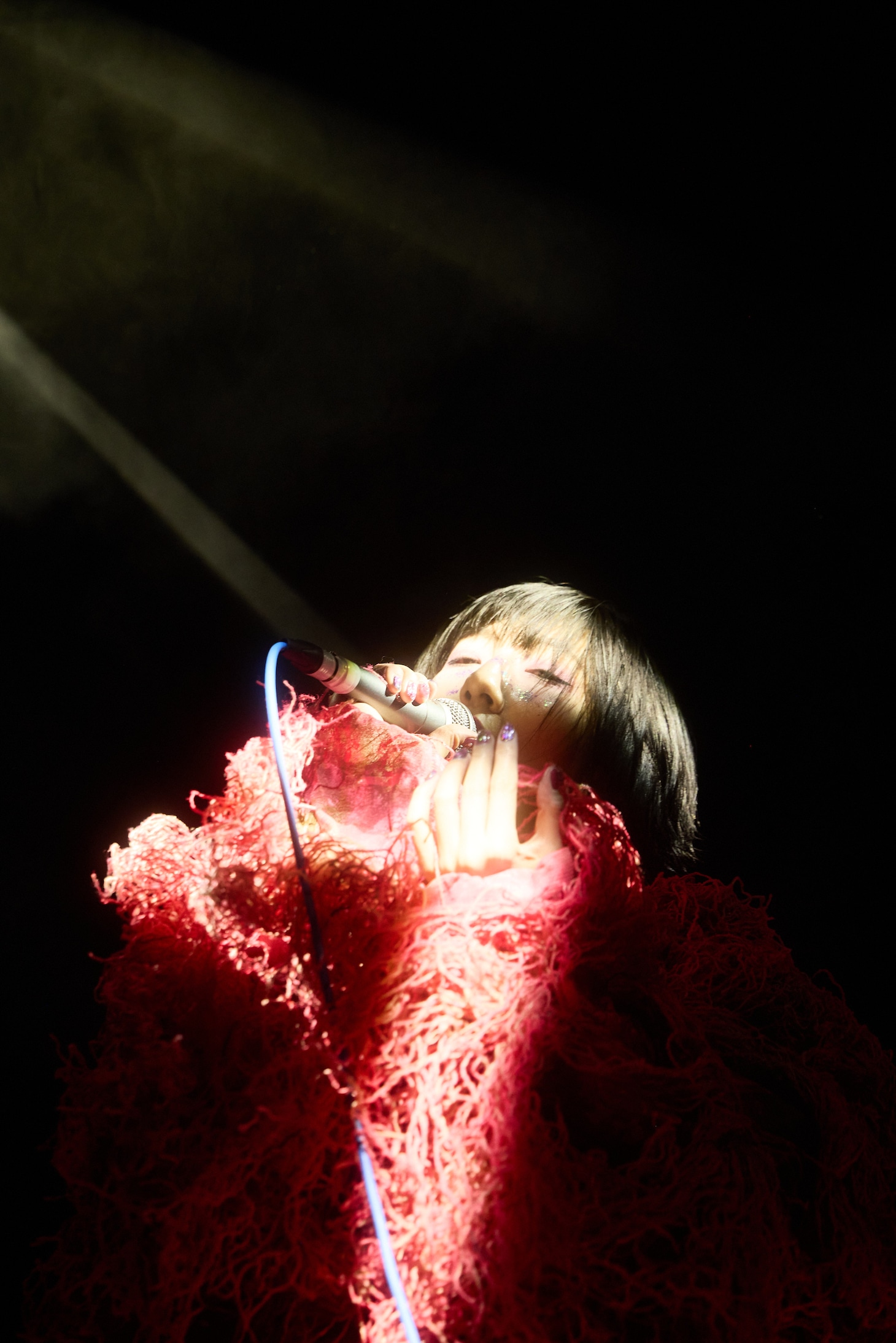 春ねむり（撮影：藍莉）