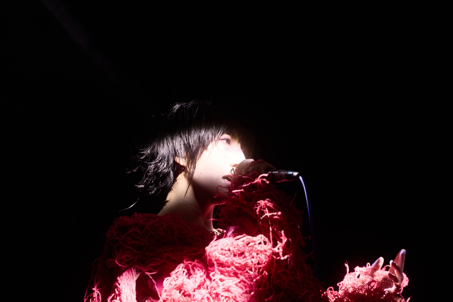 春ねむり（撮影：藍莉）