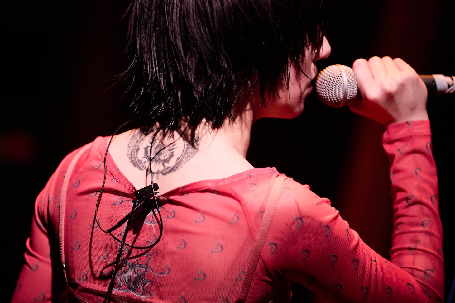 春ねむり（撮影：藍莉）