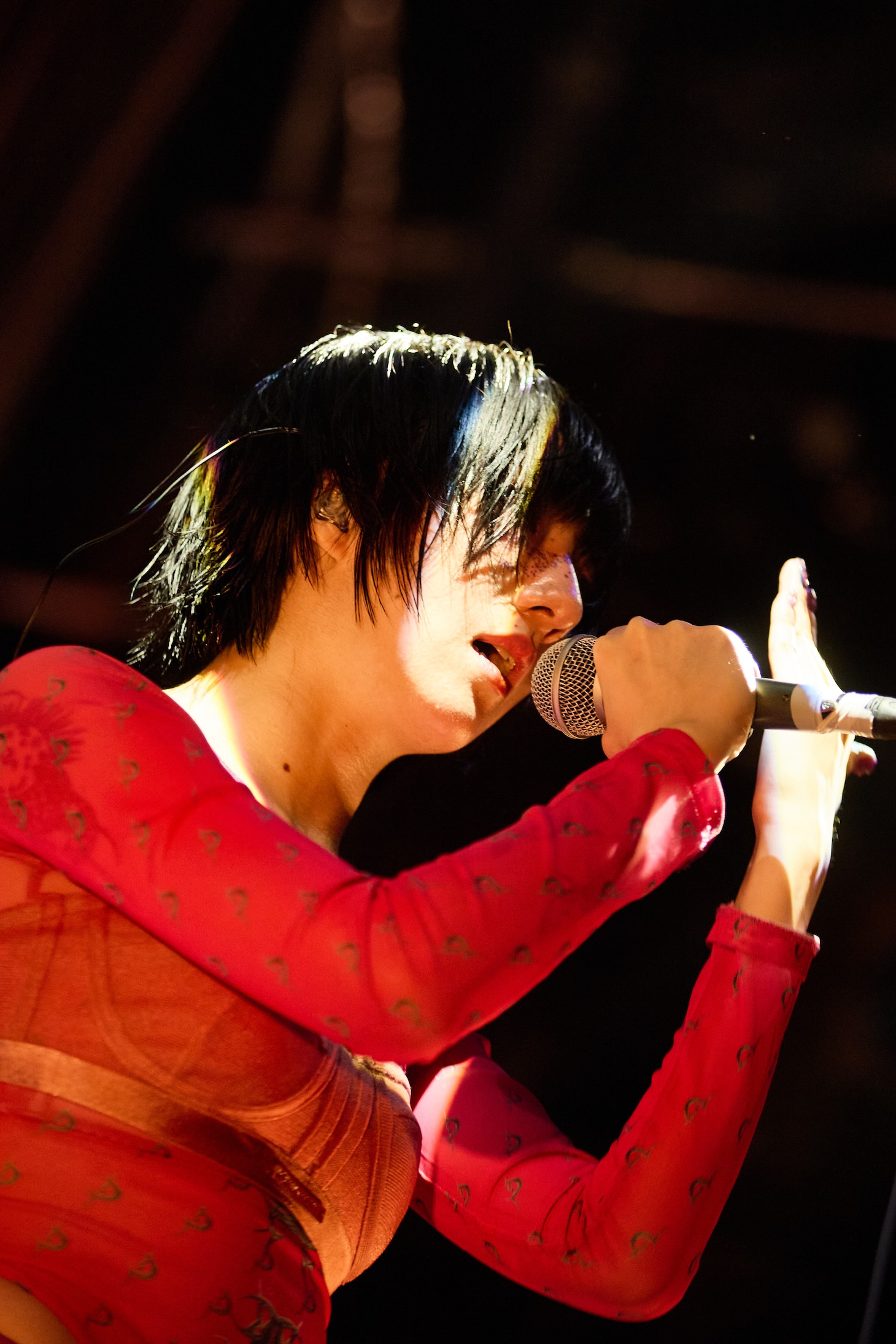 春ねむり（撮影：藍莉）