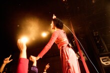 柵の上に立つ春ねむり。（撮影：藍莉）