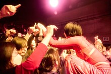 柵の上に立つ春ねむり。（撮影：藍莉）