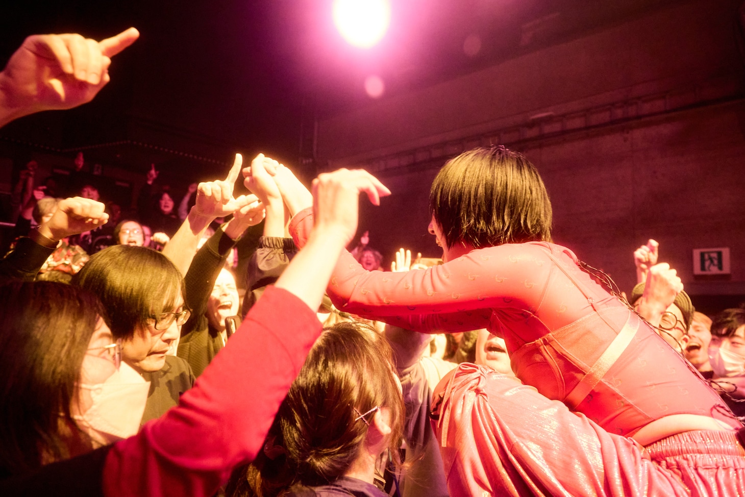 柵の上に立つ春ねむり。（撮影：藍莉）