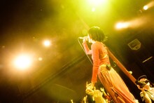 柵の上に立つ春ねむり。（撮影：藍莉）