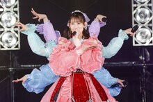 「TEAM SHACHI 最終SHOW ～晴れ晴れ～」の様子。（撮影：笹森健一）