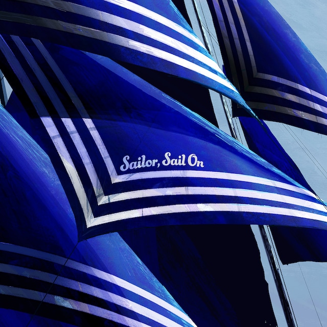 新しい学校のリーダーズ「Sailor, Sail On」ジャケット