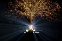 倉木麻衣（写真提供：B ZONE）