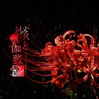 和楽器バンドのベーシスト亜沙のソロプロジェクトがEP発表、クロスフェード動画公開中