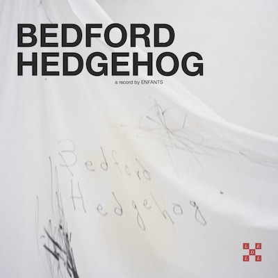 Enfants「Bedford Hedgehog