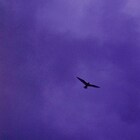 Bialystocks、アニメ「違国日記」EDテーマを配信リリース