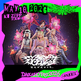 「花冷え。pre. 春の大解放祭2026」フライヤー