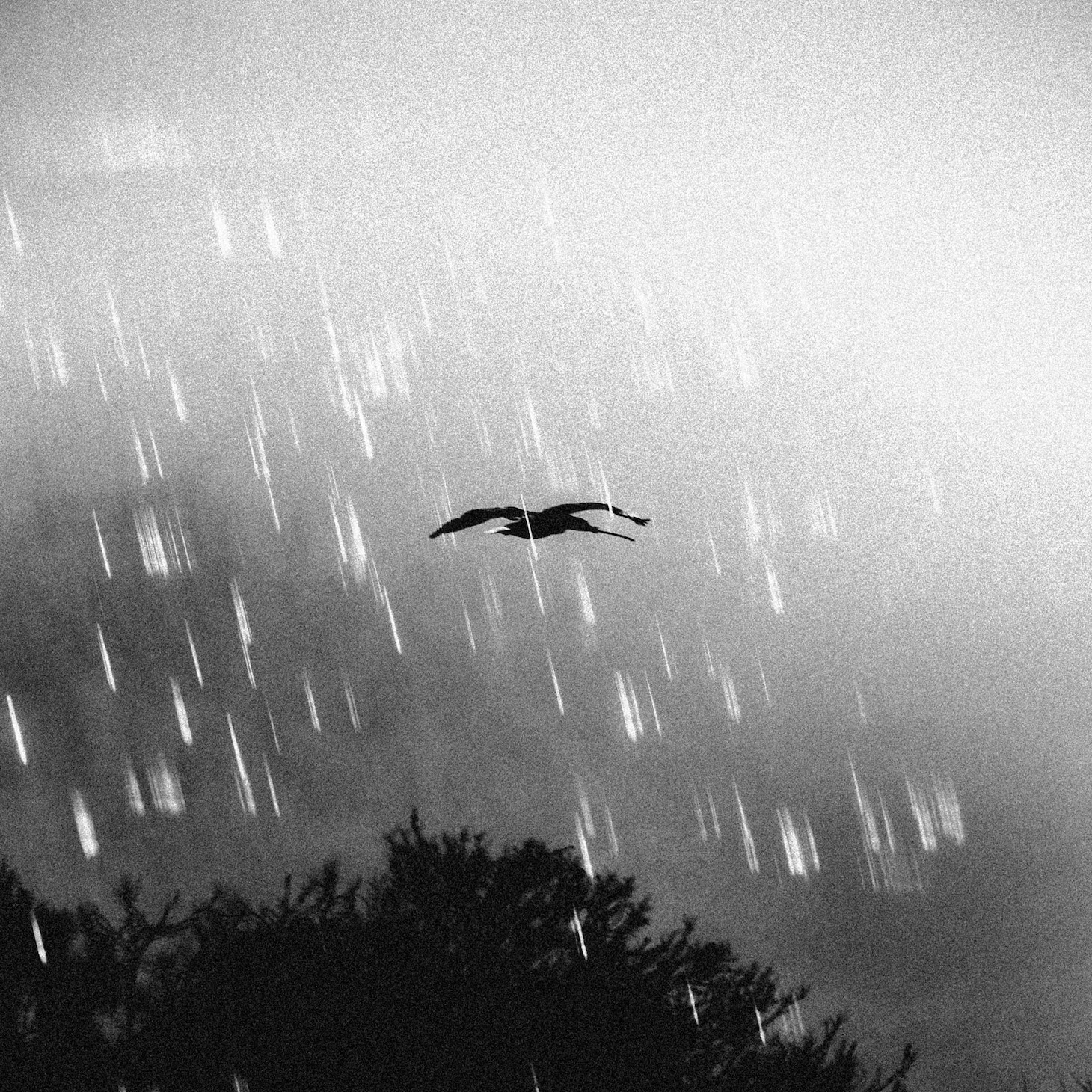 guca owl「Don't Judge Me feat. MACCHO」配信ジャケット