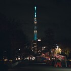 MOROHAアフロとヒグチアイの天々高々、師走の東京下町の空気感を歌う「びゅてぃほう」配信