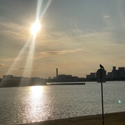 印象派「光の影（feat. MOHARU）」配信ジャケット