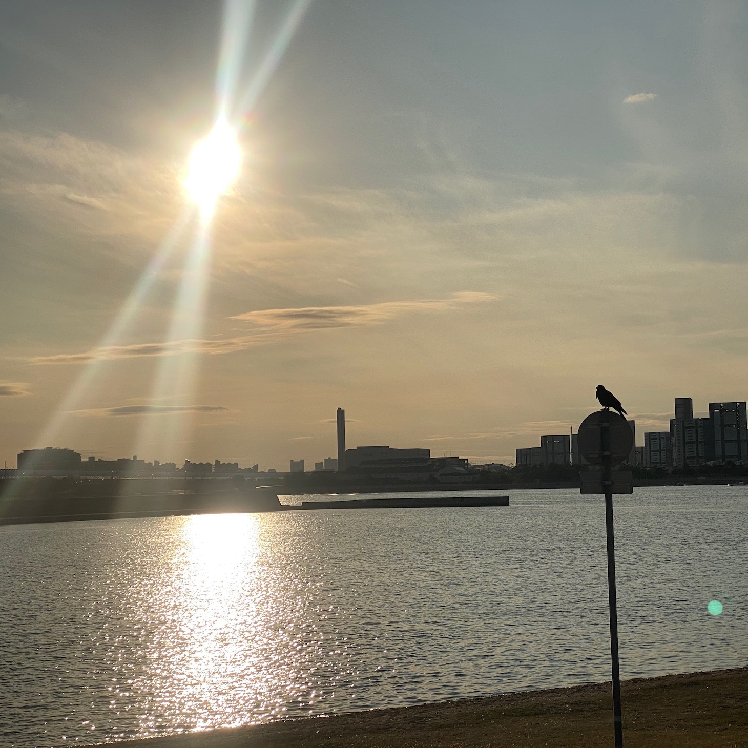 印象派「光の影（feat. MOHARU）」配信ジャケット